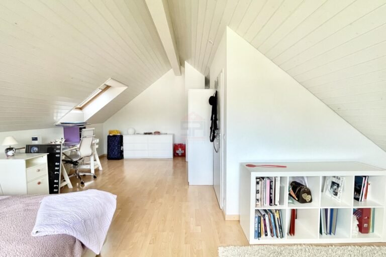 Magnificent house in the heart of Meinier