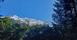 Charming chalet at the foot of the slopes