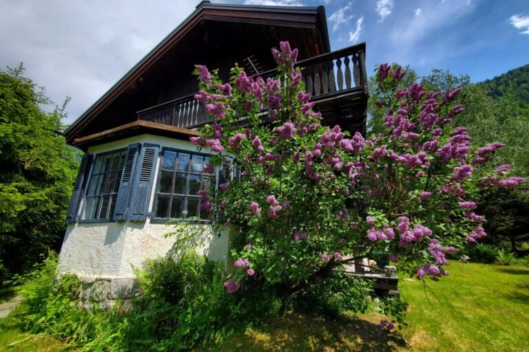 Charming chalet at the foot of the slopes