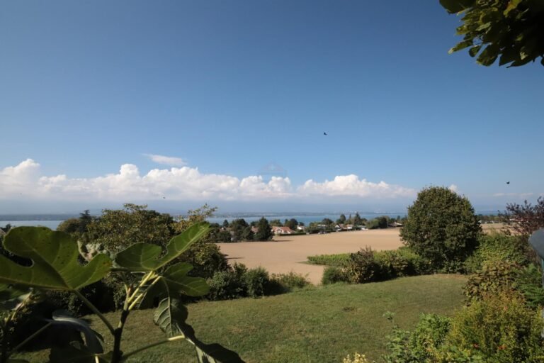 Lake view and exceptional place, house with 9 rooms and land of 3600m2