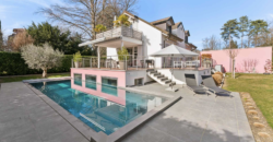 Magnificent villa with swimming pool