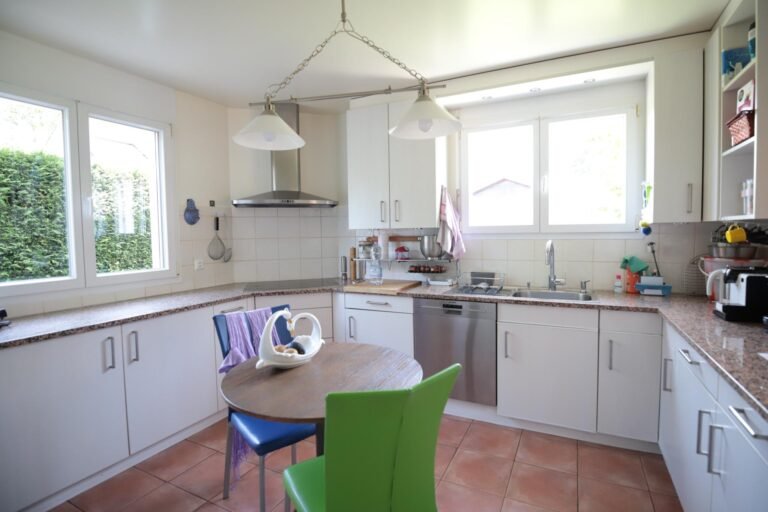 Splendid individual house in Grand-Lancy