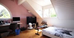 Splendid individual house in Grand-Lancy