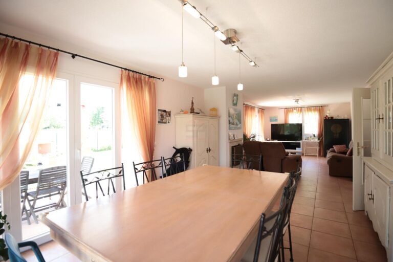 Splendid individual house in Grand-Lancy
