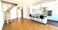 Charming flat close to CEVA