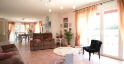 Splendid individual house in Grand-Lancy