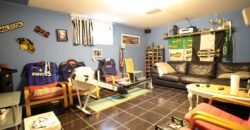 Splendid individual house in Grand-Lancy