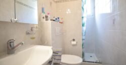 Splendid individual house in Grand-Lancy