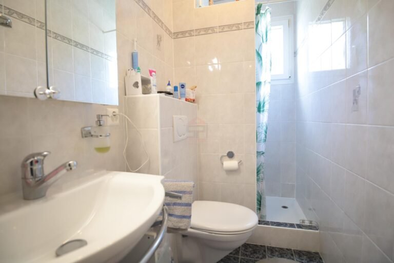 Splendid individual house in Grand-Lancy