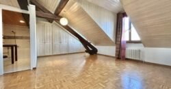 Charming flat close to CEVA