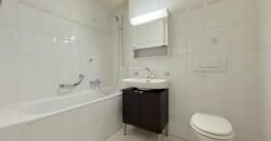 Sublime renovated apartment with view of the Salève
