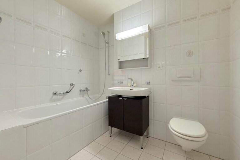 Sublime renovated apartment with view of the Salève