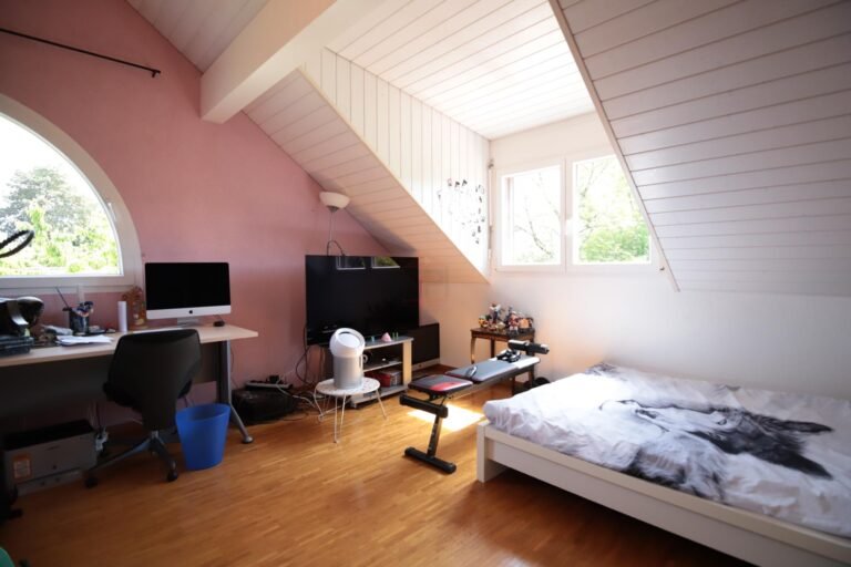 Splendid individual house in Grand-Lancy