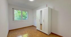 Sublime renovated apartment with view of the Salève