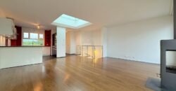 Sublime duplex penthouse in Plan-les-Ouates