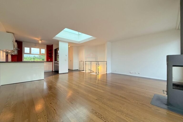 Sublime duplex penthouse in Plan-les-Ouates