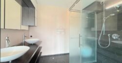 Sublime duplex penthouse in Plan-les-Ouates