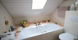 Splendid individual house in Grand-Lancy