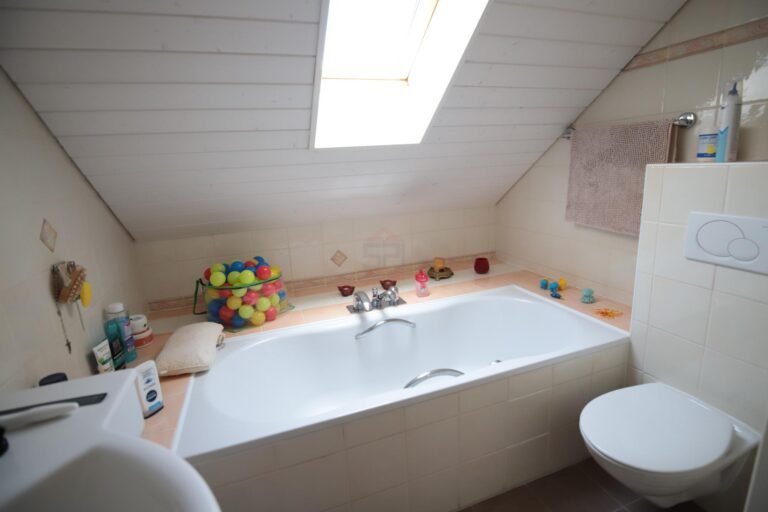 Splendid individual house in Grand-Lancy