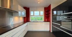 Sublime duplex penthouse in Plan-les-Ouates