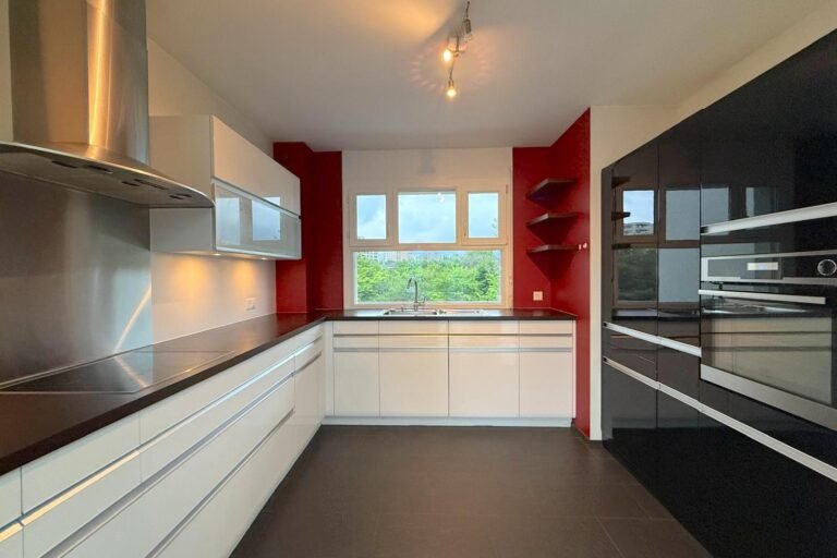 Sublime duplex penthouse in Plan-les-Ouates