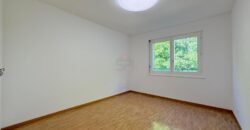 Sublime renovated apartment with view of the Salève