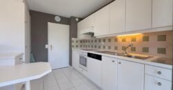 Sublime renovated apartment with view of the Salève