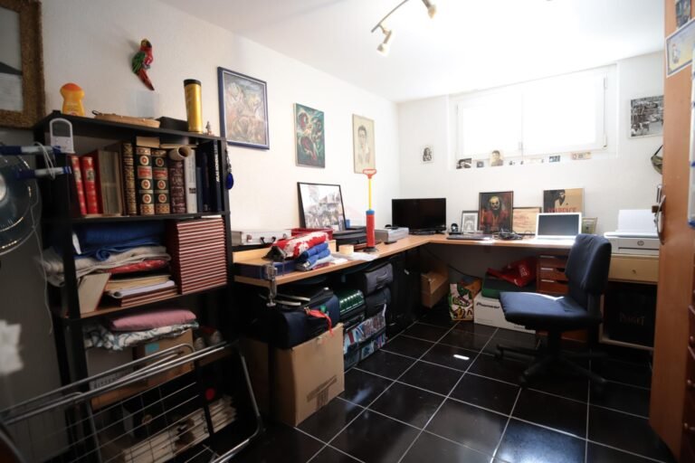 Splendid individual house in Grand-Lancy