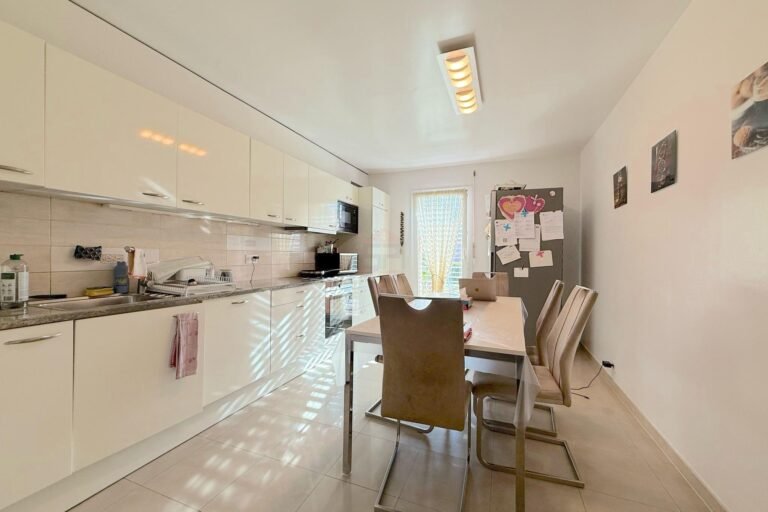 Charming family house in Vernier