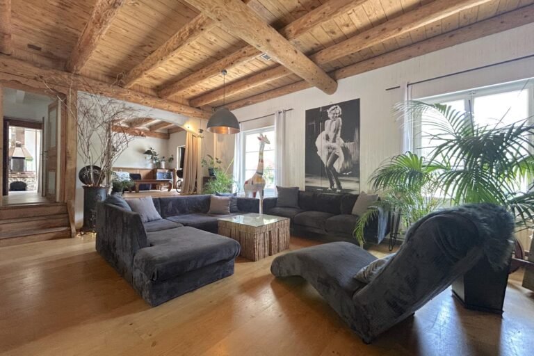 Magnificent character house with swimming pool