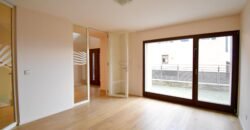Magnificent village house with garden in Clarmont