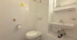 Sublime renovated apartment with view of the Salève