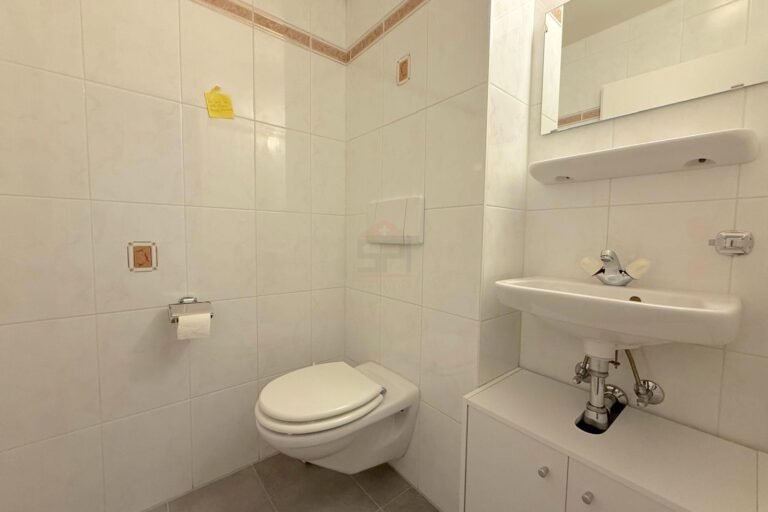 Sublime renovated apartment with view of the Salève