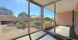 Sublime renovated apartment with view of the Salève