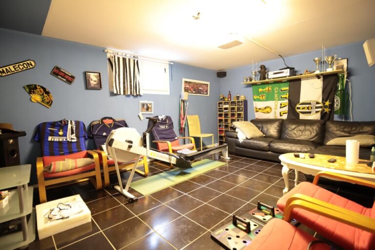 Splendid individual house in Grand-Lancy