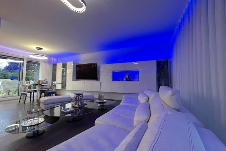 Magnificent modern villa with swimming pool