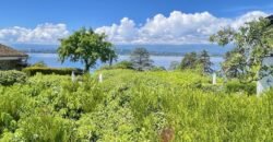 Architect-designed house with lake view