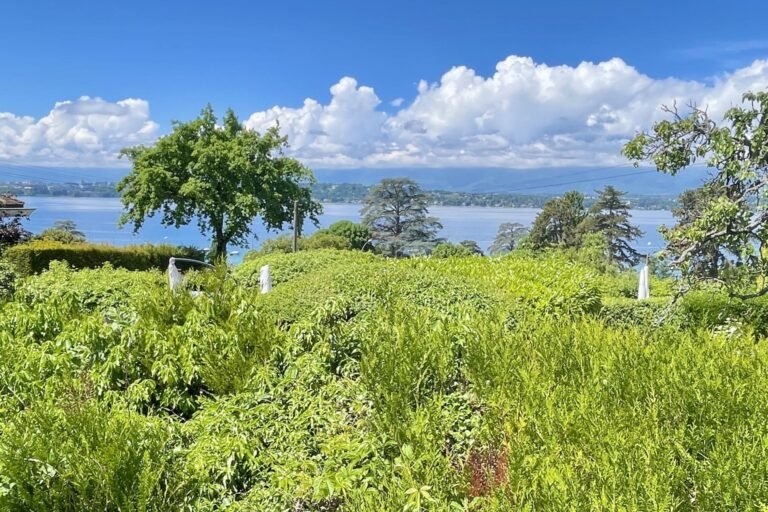 Architect-designed house with lake view