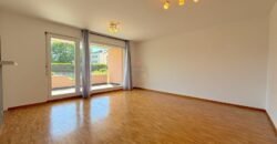 Sublime renovated apartment with view of the Salève