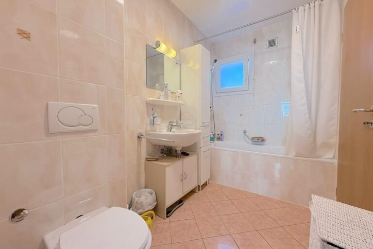 Charming family house in Vernier