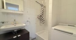 Sublime renovated apartment with view of the Salève