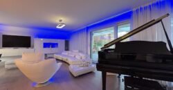 Magnificent modern villa with swimming pool