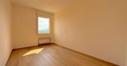 Sublime 5-room apartment with Salève view