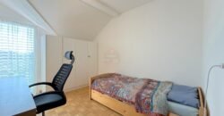 Charming family house in Vernier
