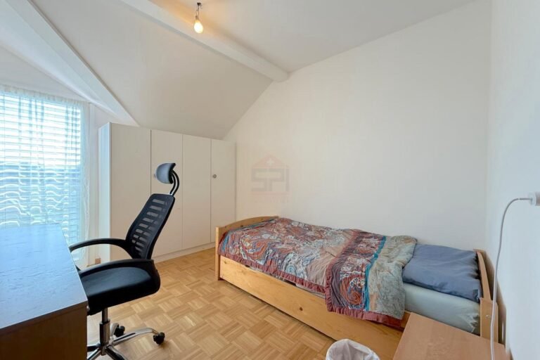 Charming family house in Vernier