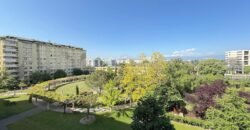 Sublime 5-room apartment with Salève view