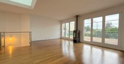 Sublime duplex penthouse in Plan-les-Ouates