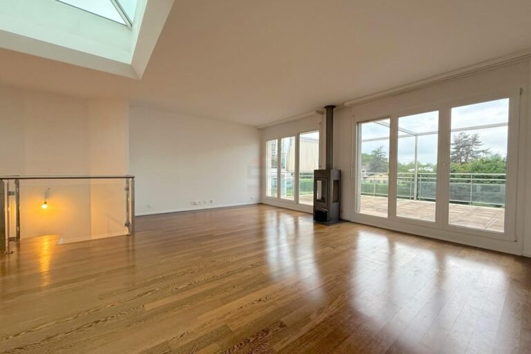 Sublime duplex penthouse in Plan-les-Ouates