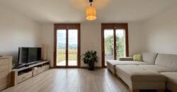 Charming house with private garden
