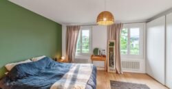 Co-exclusivité – Duplex – 5pcs – Corsier Village